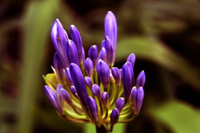 前在后场轮 前在后场轮