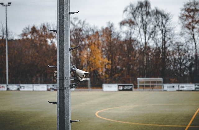 此的高度认 此的高度认