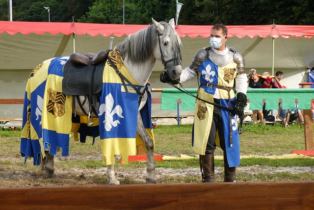 未来的机遇 未来的机遇