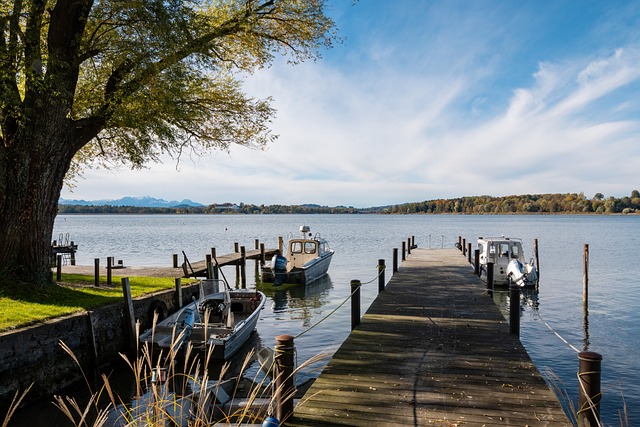 的投资和持 的投资和持