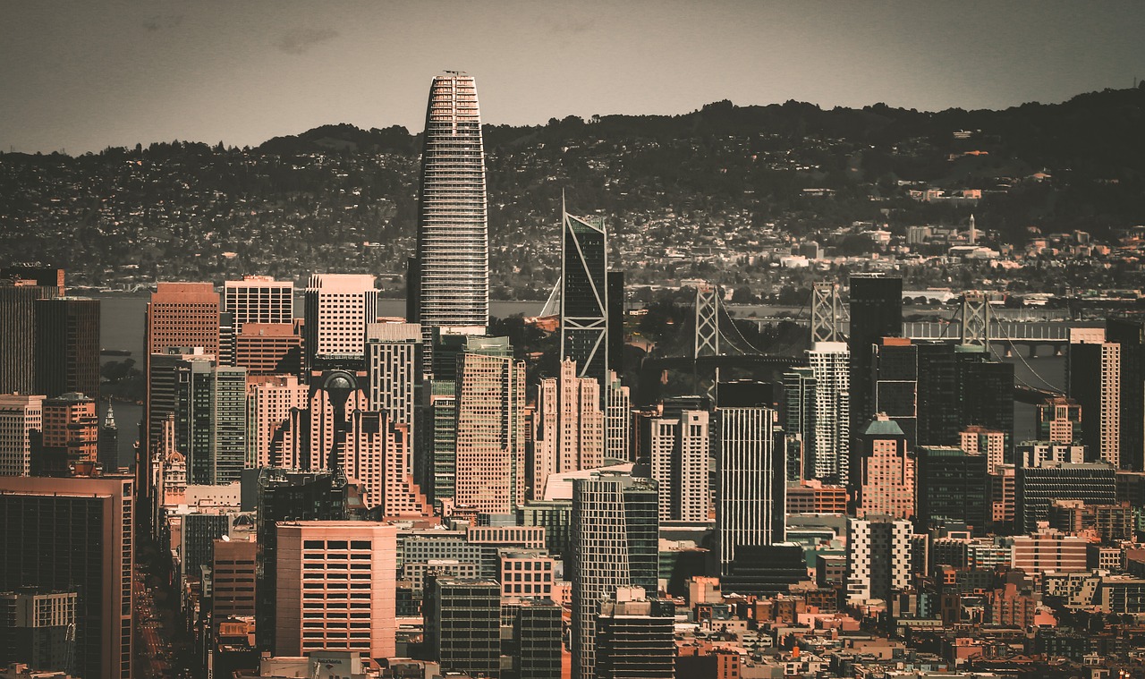 向的明确定 向的明确定