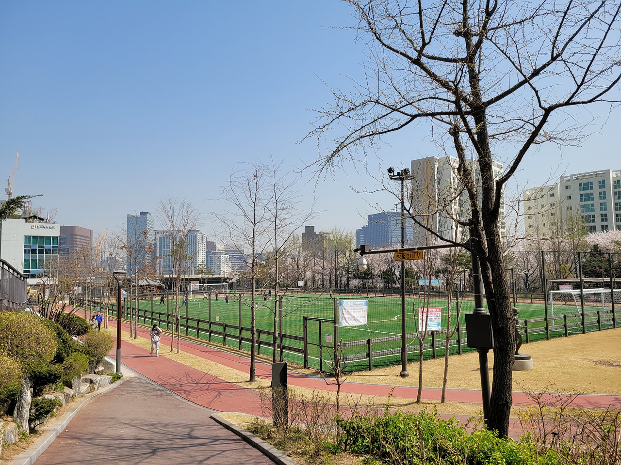 球员数不胜 球员数不胜